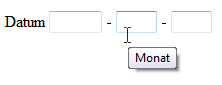 Eingabefelder für Datumsfelder, wobei es einen Tooltip beim Monat gibt