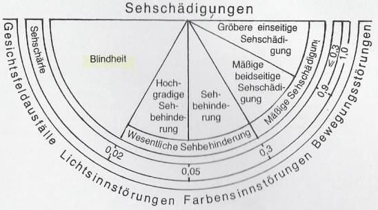 Darstellung unterschiedlicher Abstufungen von Sehschädigungen